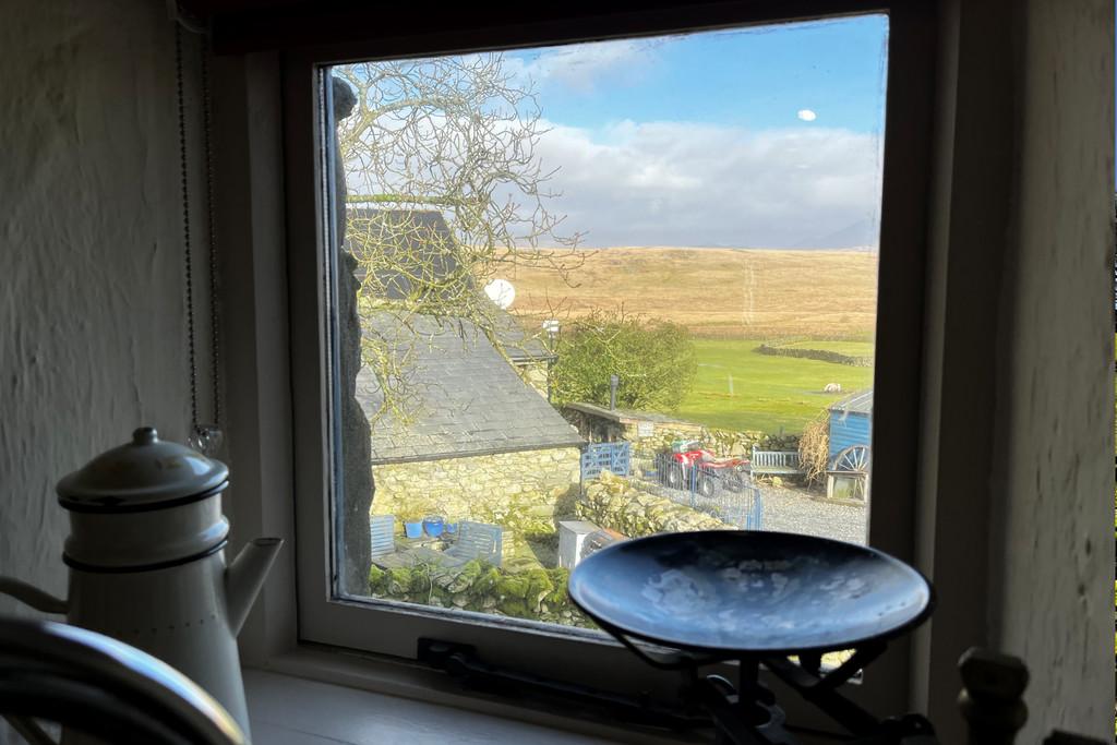 View from the kitchen window