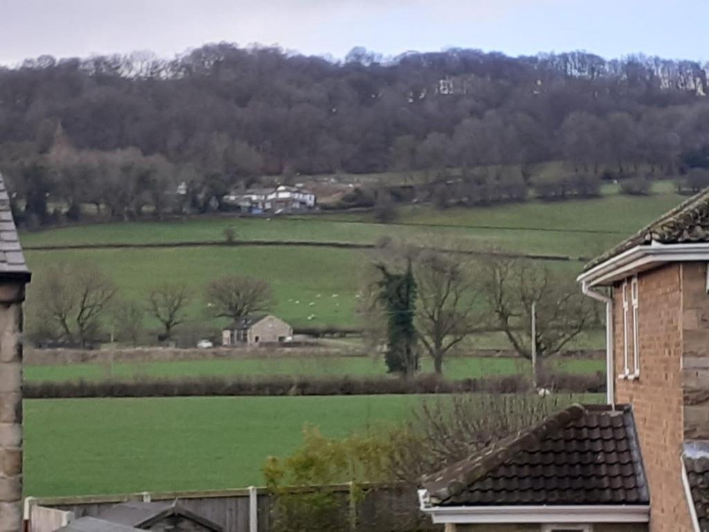 View.jpg