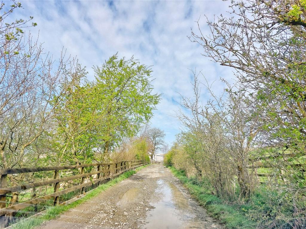 Entry Lane