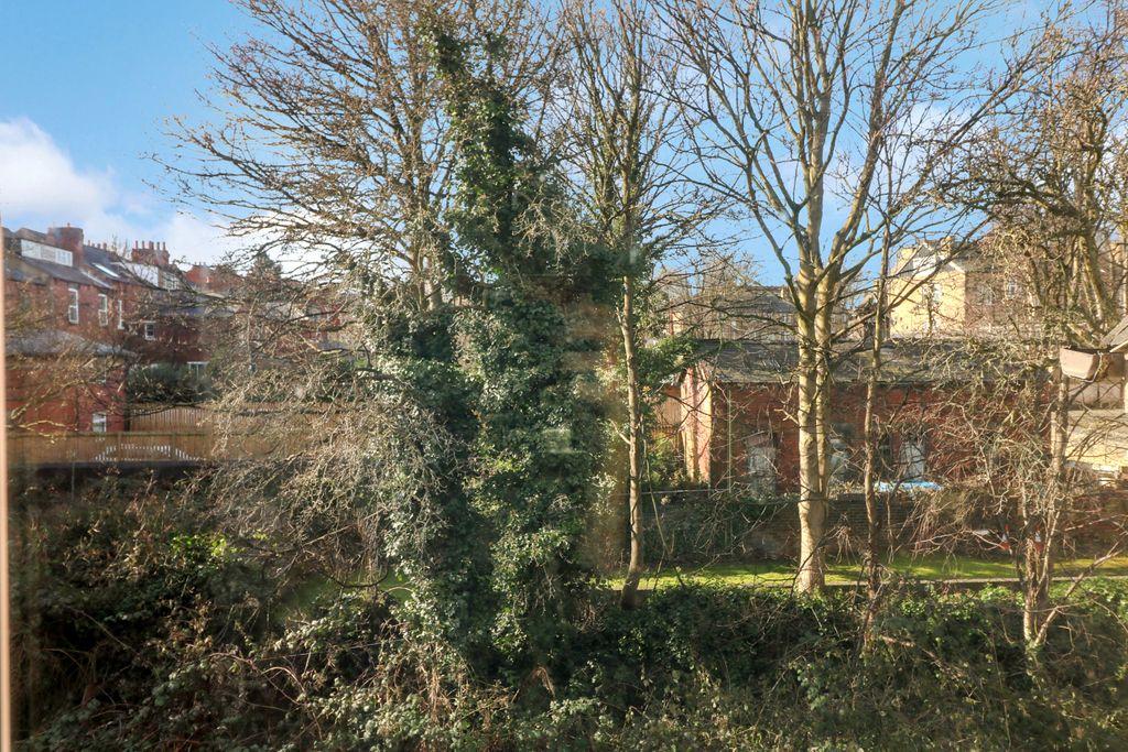 View from Property at Back