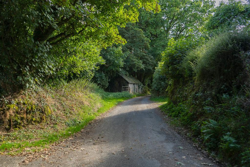 Lane To Lot 2 Fields