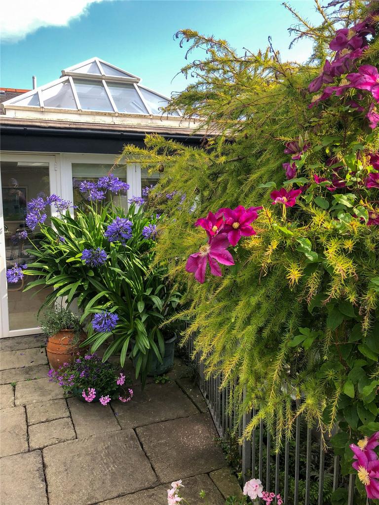 Summer Garden