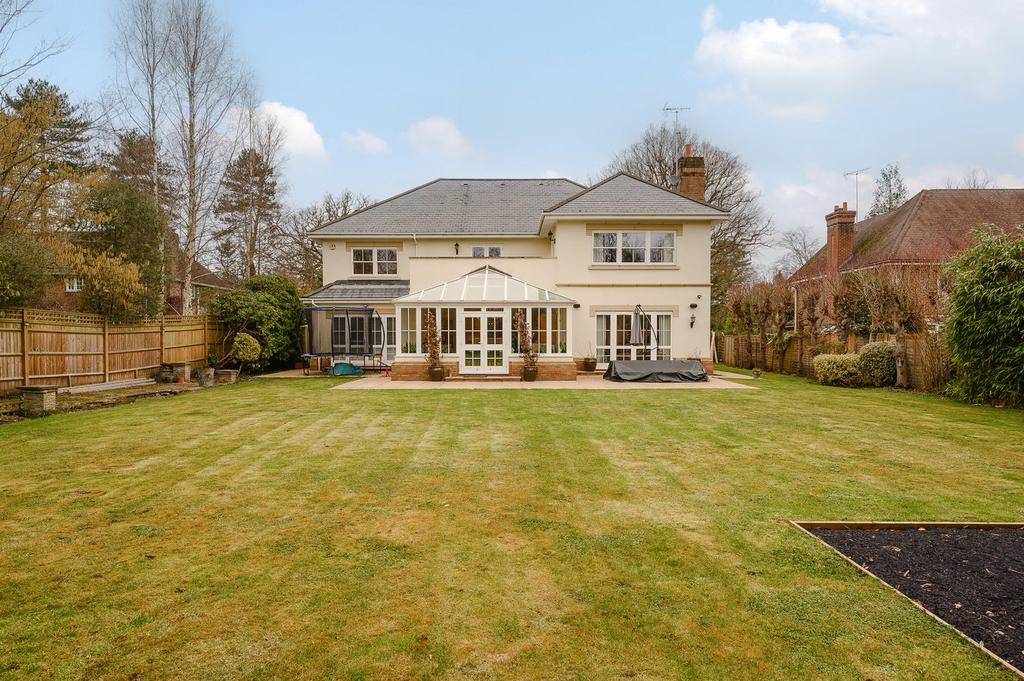 South Facing Garden