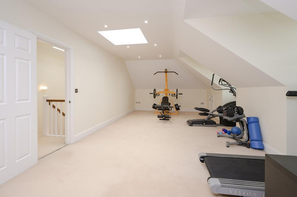Gym/Bedroom 6