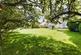 Rear Garden 1