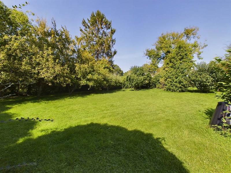 Rear Garden 3