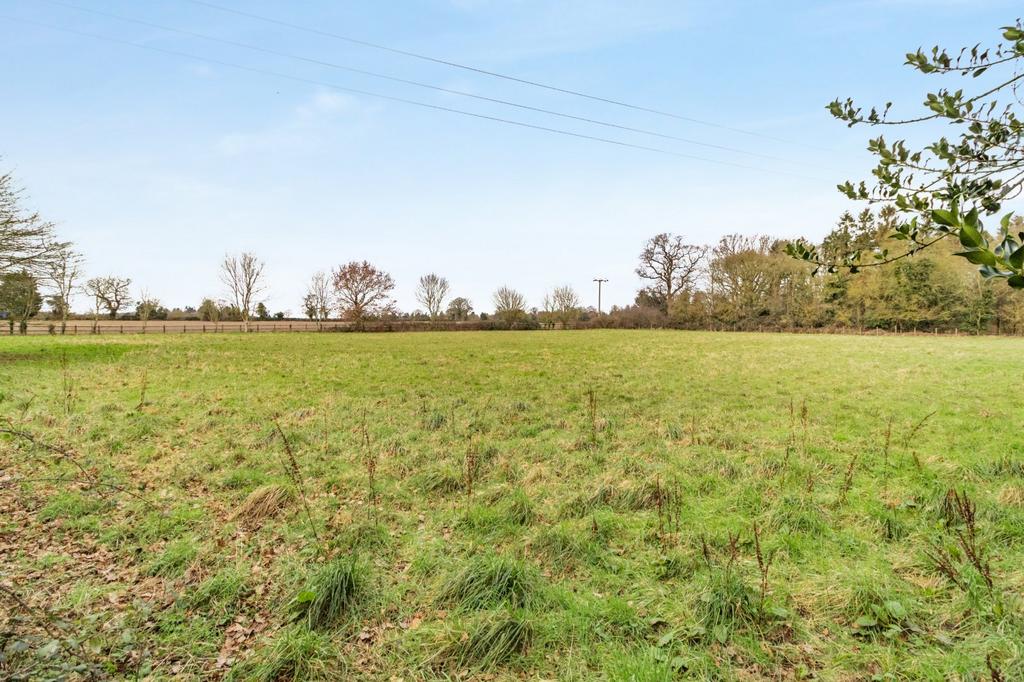 Field