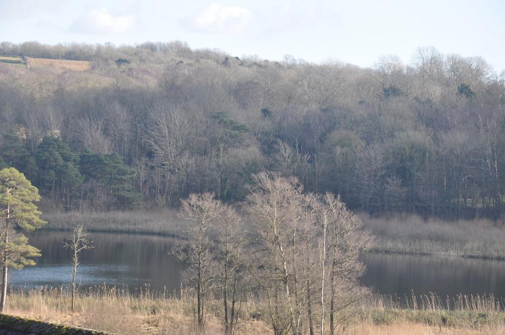 Views of Haweswater
