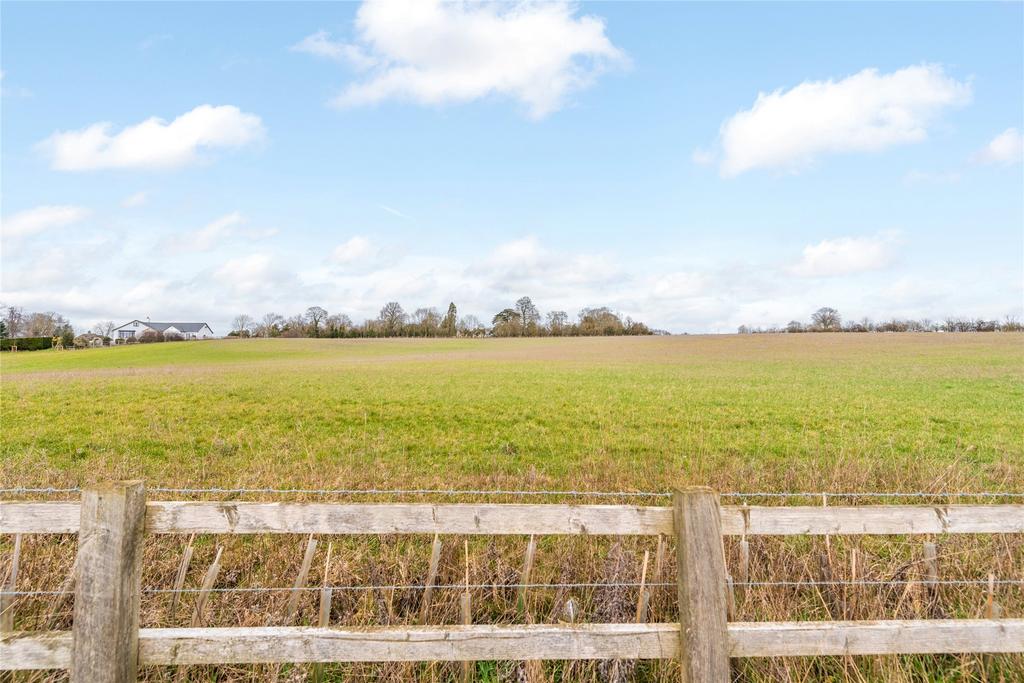 Fields Behind Garden