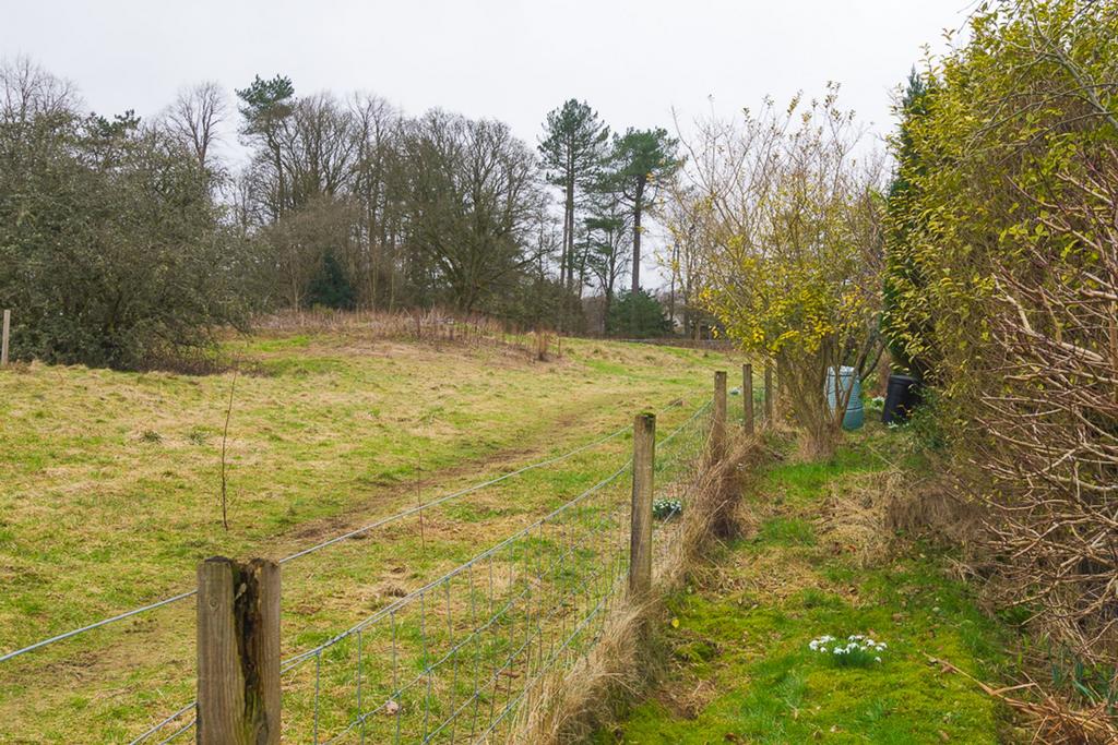 Local walks
