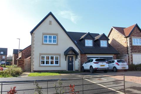 4 bedroom detached house for sale - Stein Grove, Stainsby Hall Farm