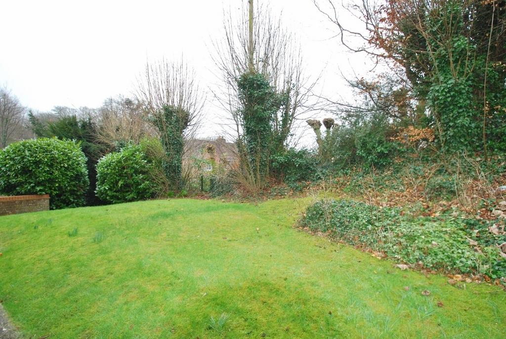 Shared garden area