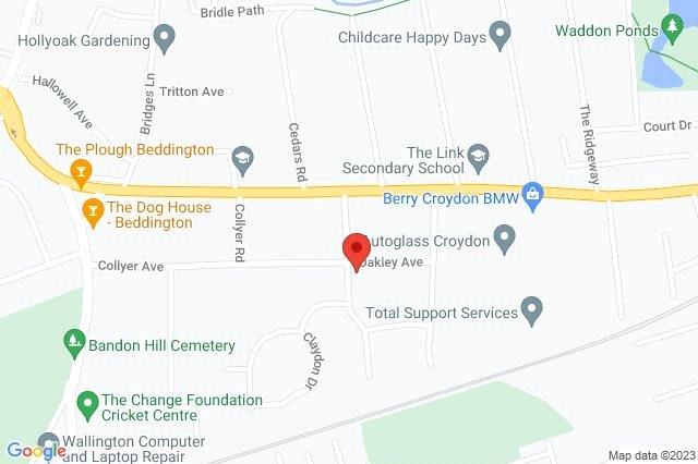 Google Maps Image