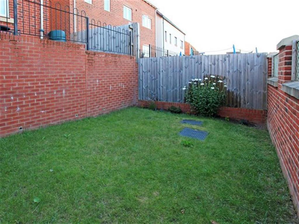Picture 9