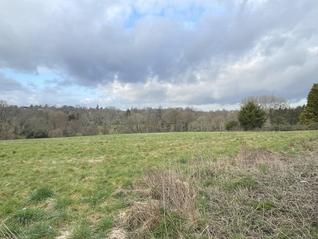 Land Off The Chestnuts, Hawkhurst, Cranbrook, Kent Farm land - £95,000