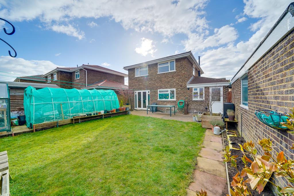 Back Garden