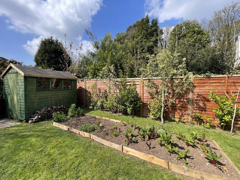 Vegetable Plot