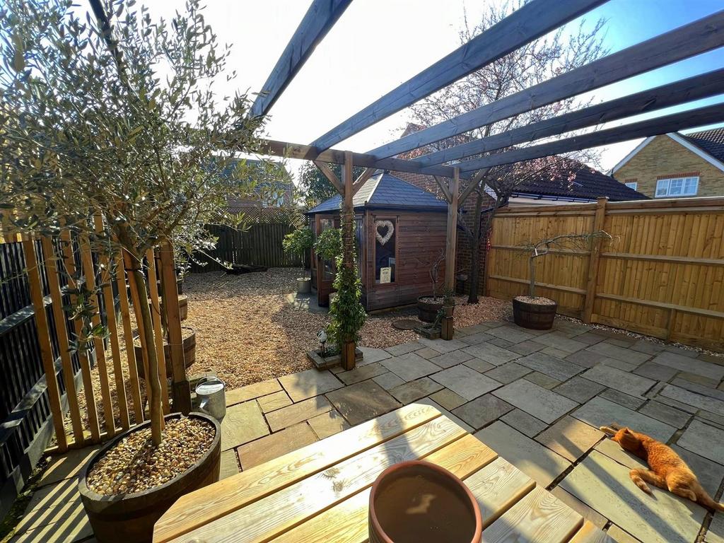5solo53.jpg