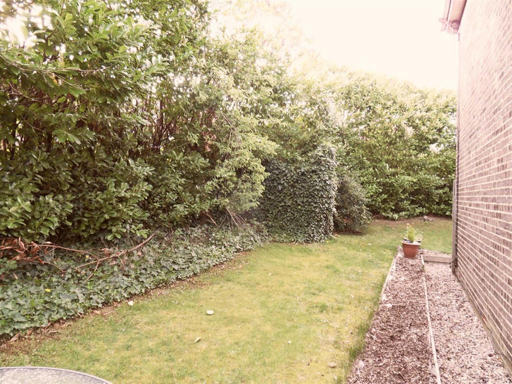 Garden Cont.