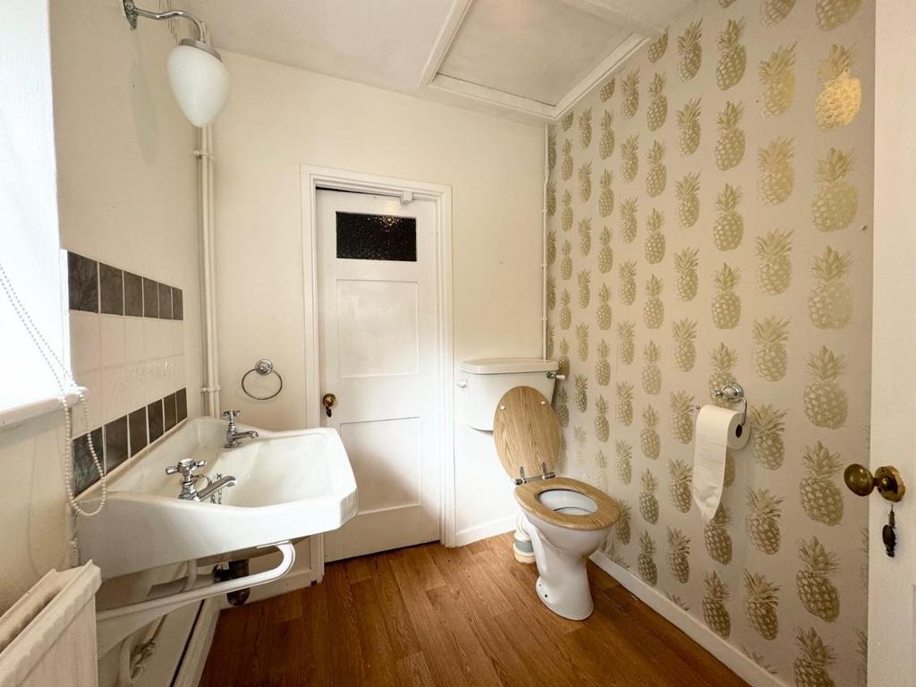 Downstairs loo.jpg