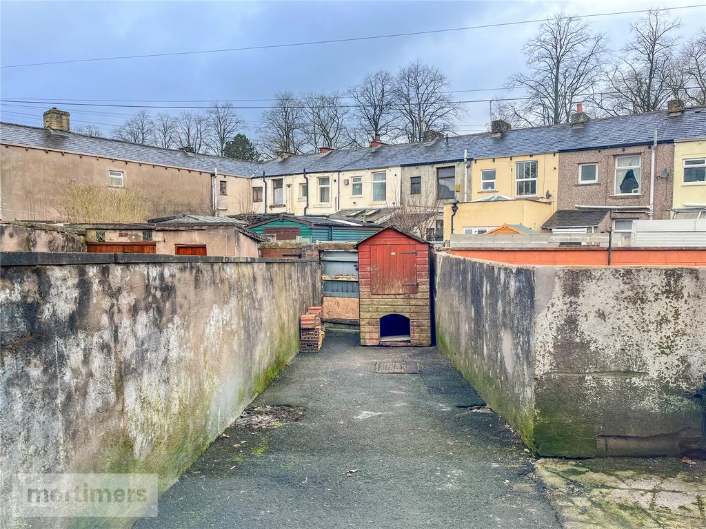 Rear Yard