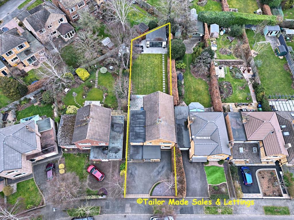 Aerial Shot