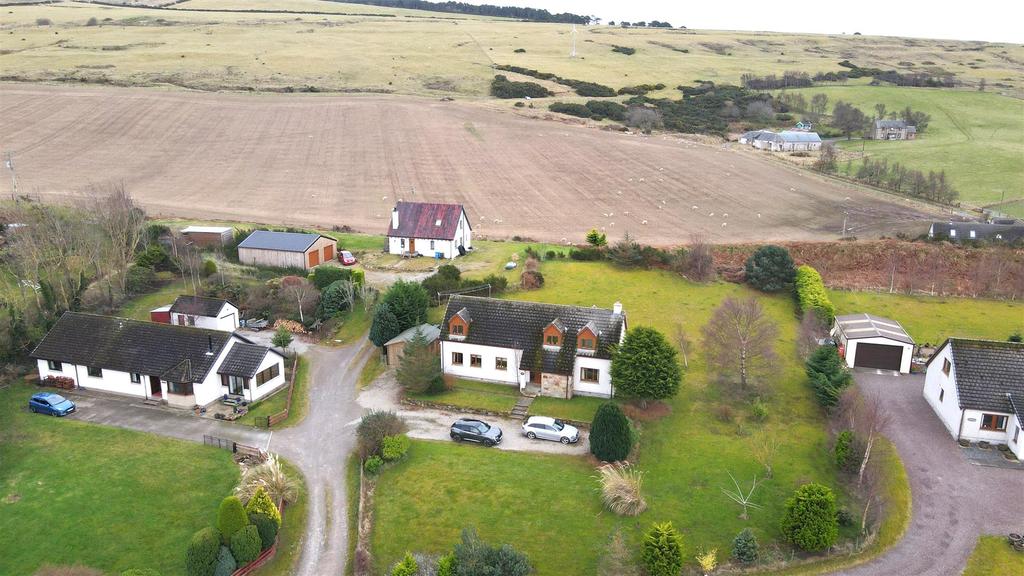 Dji 0571.jpg