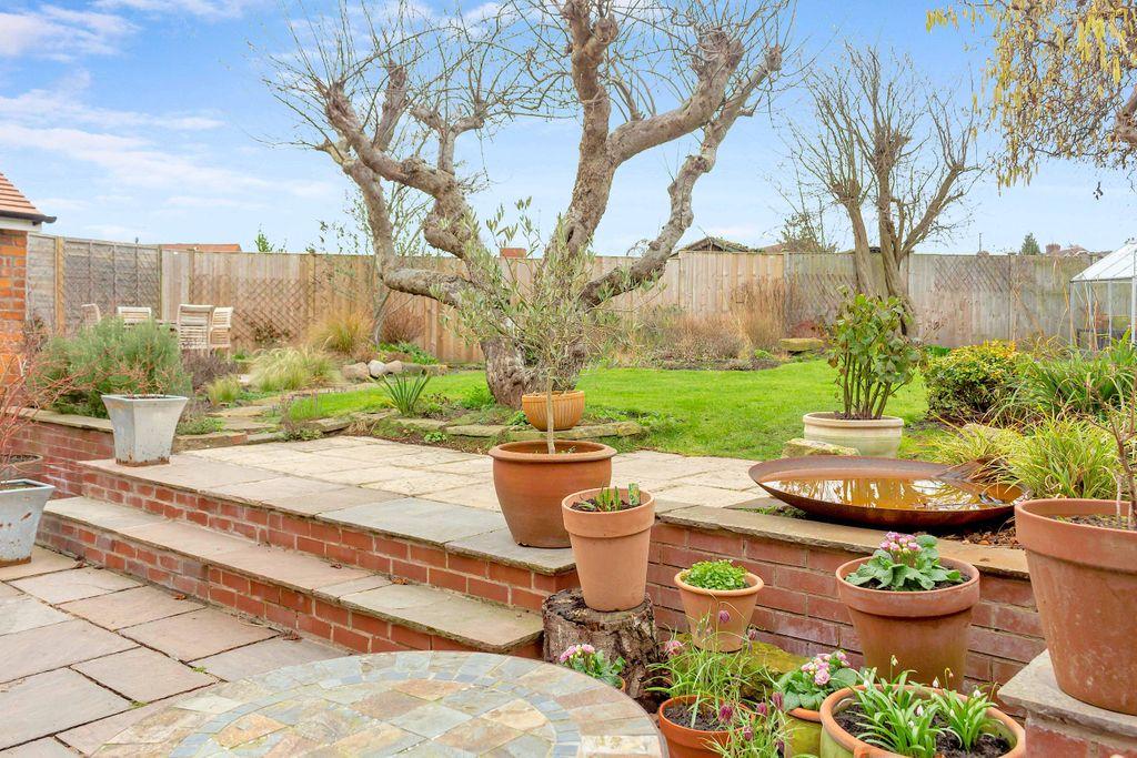 Garden at Back