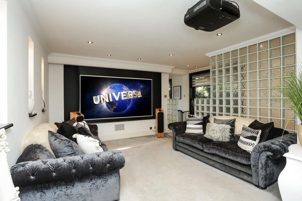 Lounge/Cinema Room