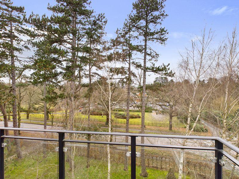 View From Balcony