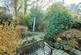 Garden (2).jpg