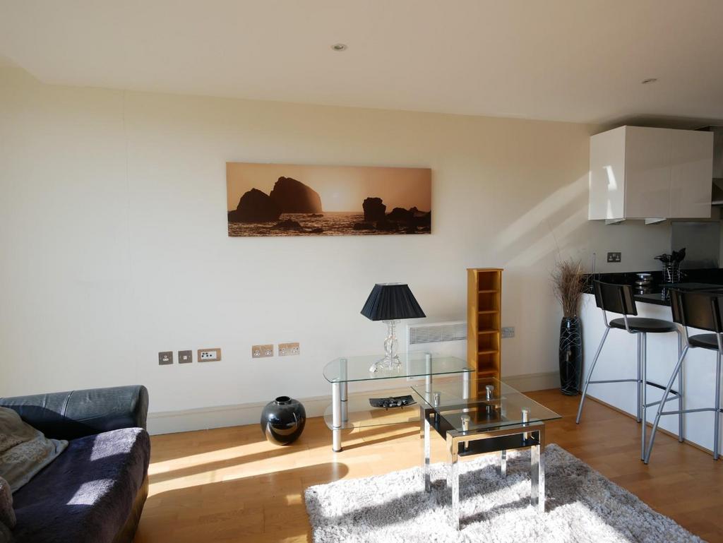 Open Plan Lounge/Kitchen