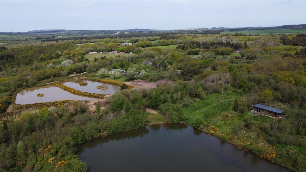 Dji 0937.jpg