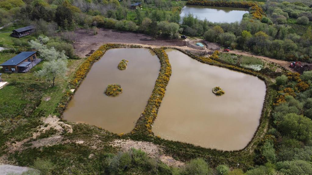 Dji 0951.jpg