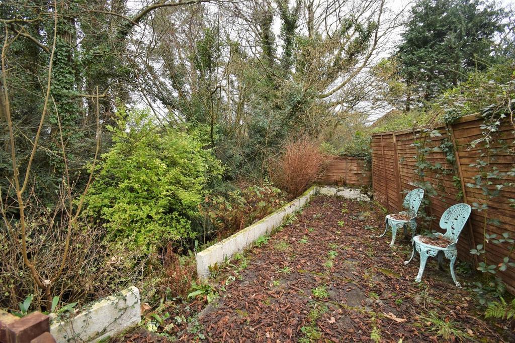 Rear Patio Overlooking Stream.jpg