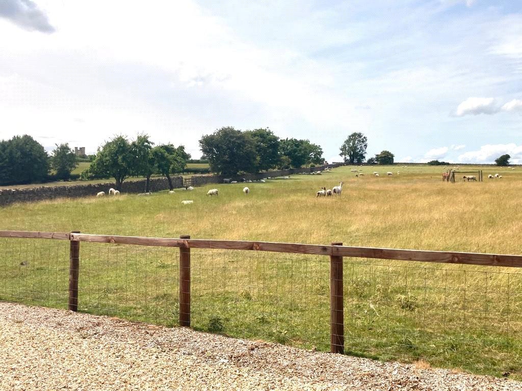 Adjoining Paddock