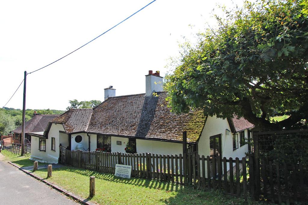 Picture 29