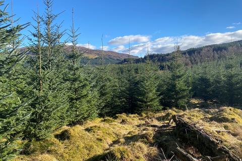 Land for sale, Killin FK21