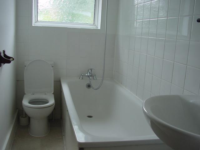 55 b Toke Ave 005.jpg