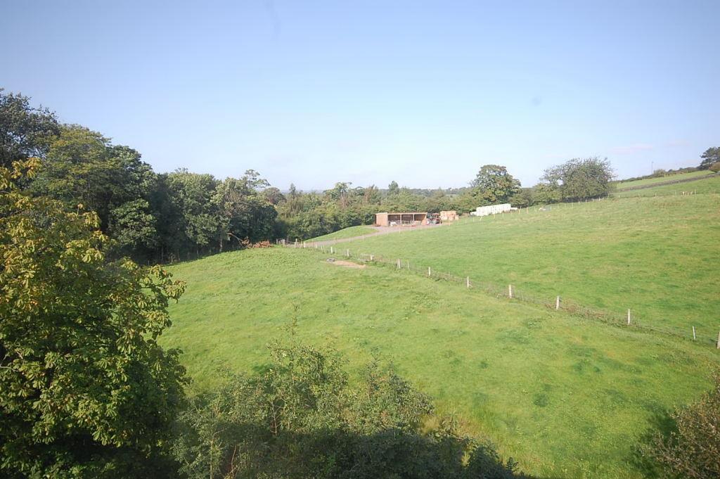 Autumn heights 27001.JPG