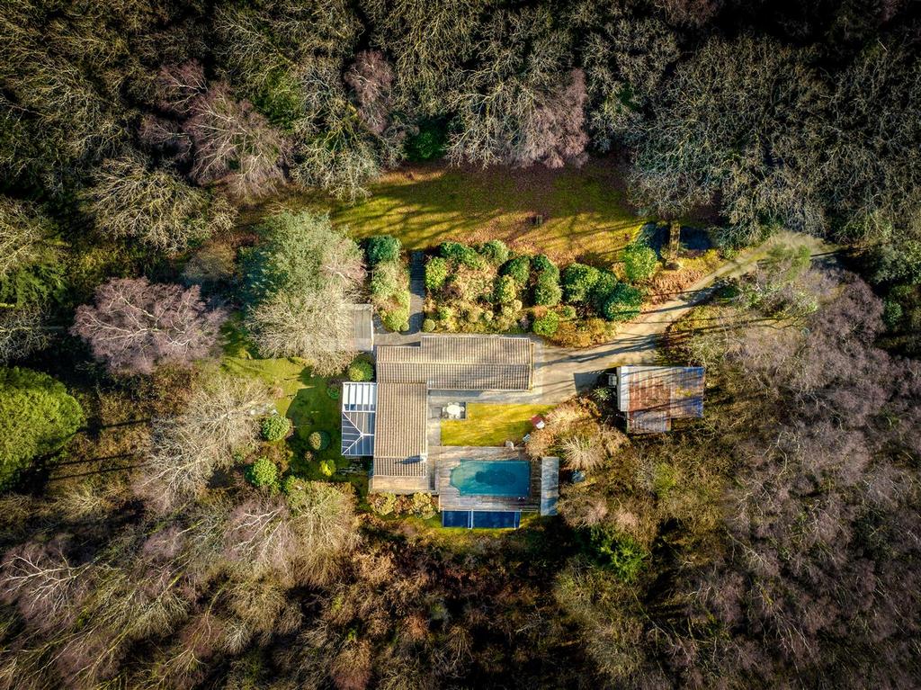 The Land