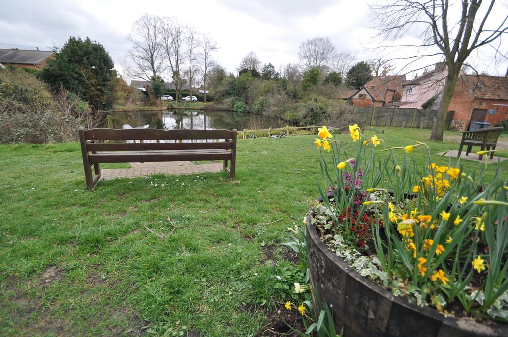 Village pond