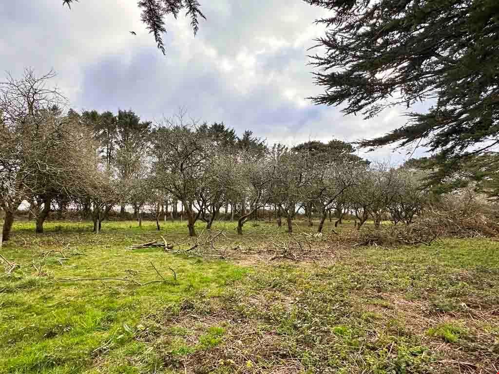 Angarrack Lane, Connor Downs, Hayle, Cornwall Plot £125,000