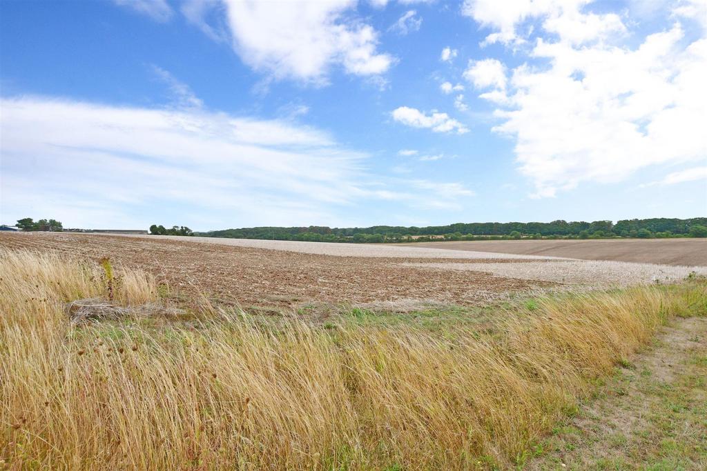 Surrounding Area