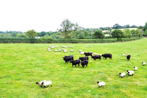 Land for sale - Lower End Town Farm, Lampeter Velfrey, Narberth, Pembrokeshire, SA67