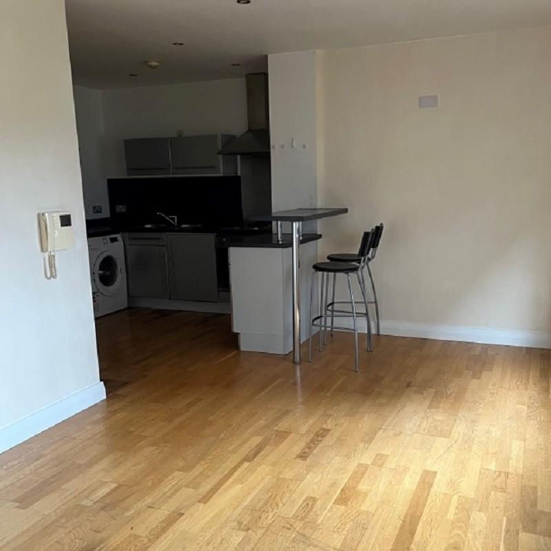 Living Room/Kitchen b
