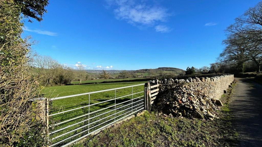 Dalwood, Axminster, Devon, EX13 Land for sale £25,000