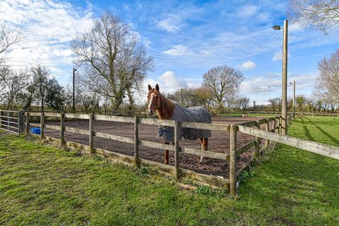 3 bedroom equestrian property for sale - Littlemoor Road, Mark, Highbridge, TA9