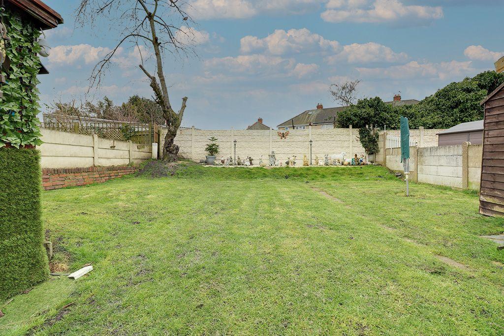 Garden at Back