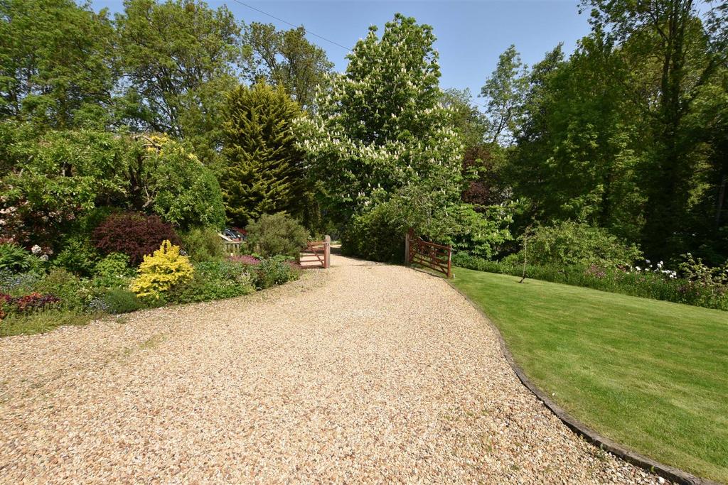 Driveway.jpg